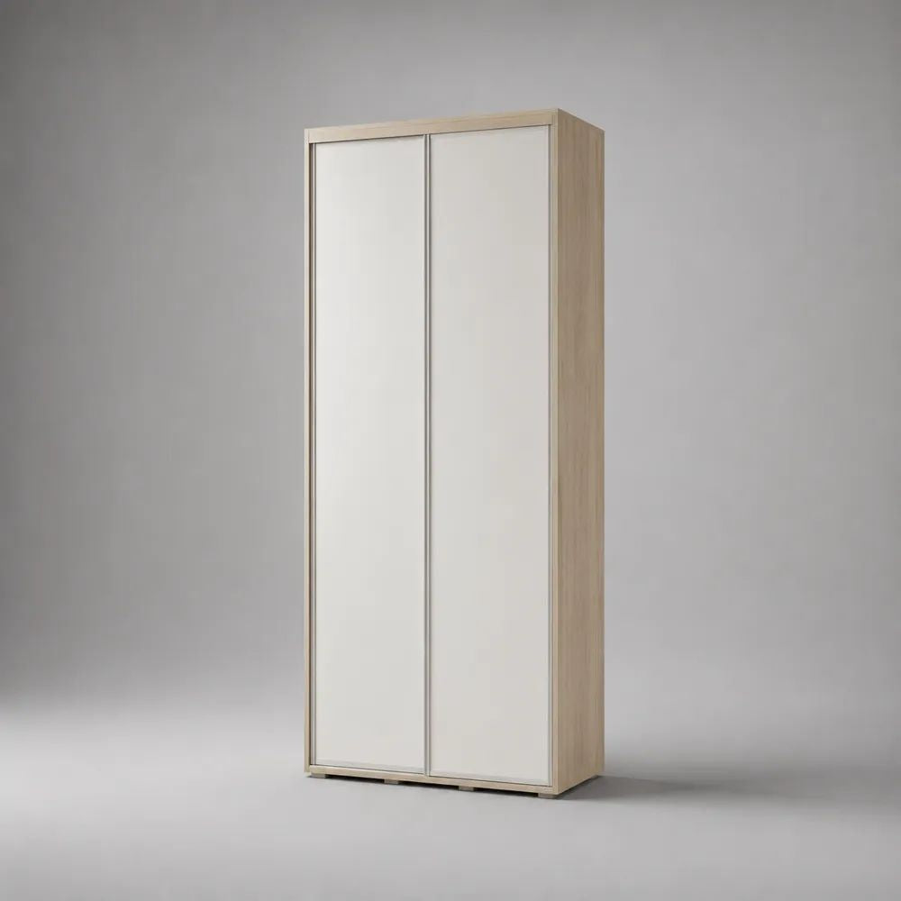 Armoire rectangulaire en bois à 2 portes coulissantes, chêne clair, blanc et argenté, 100 × 50 × 200 cm